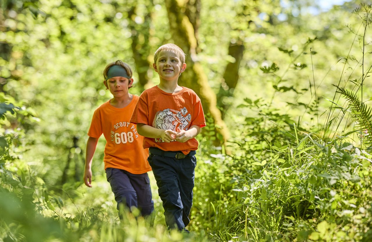 Two Cub Scouts hiking a sunny forest path